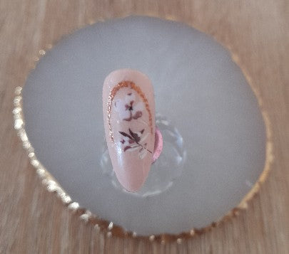 Capsules à coller pour ongles. Coffret de