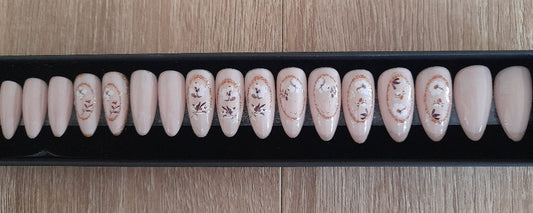 Capsules à coller pour ongles. Coffret de